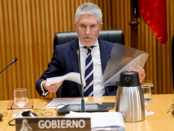 Fernando Grande Marlaska, ministro de Interior