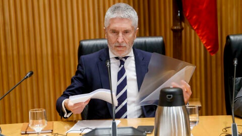 Fernando Grande Marlaska, ministro de Interior