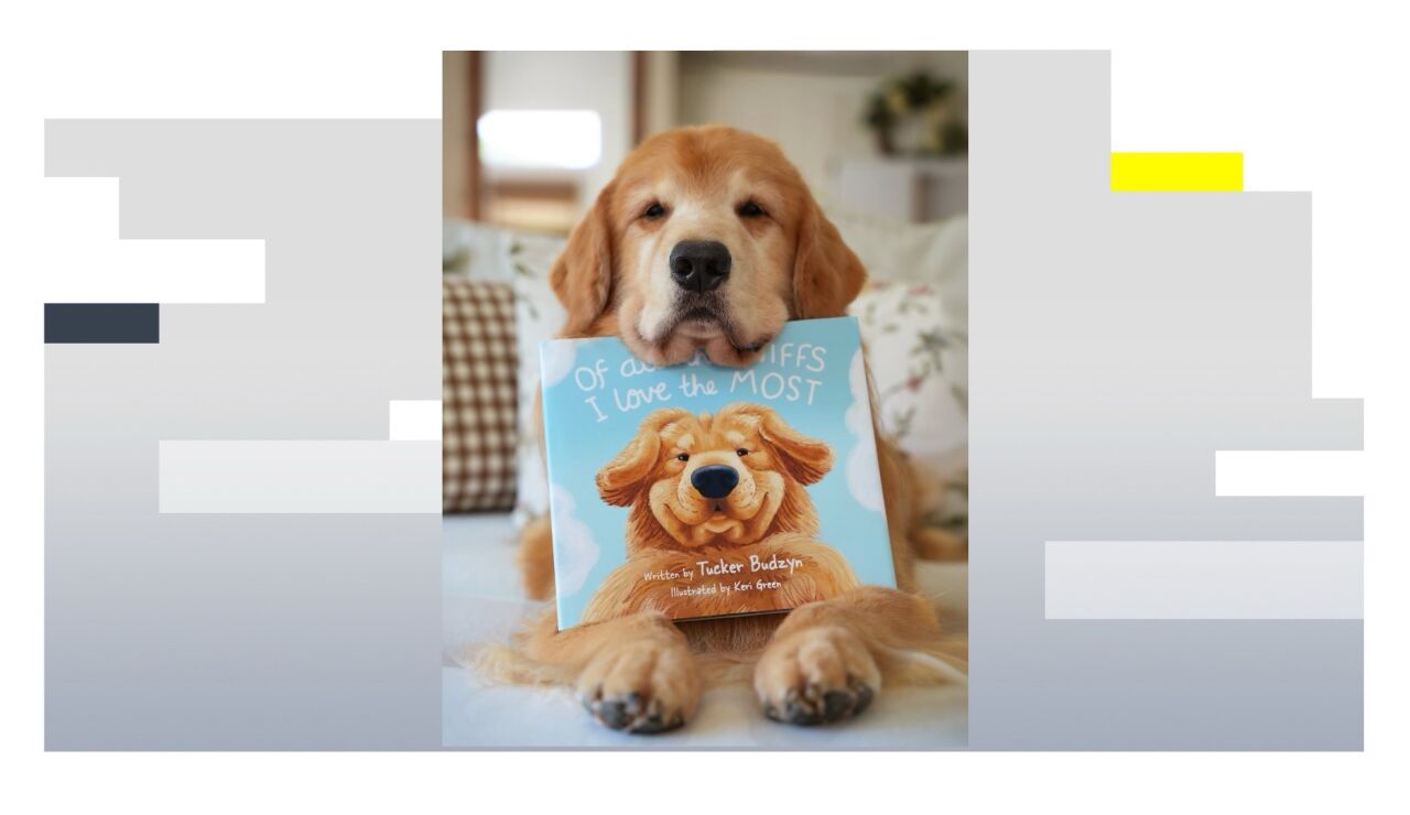 Imagen de Tucker, el golden retriever que alcanz&oacute; los 27 millones de seguidores.