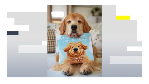 Imagen de Tucker, el golden retriever que alcanz&oacute; los 27 millones de seguidores.