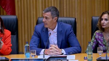 El presidente del Gobierno, Pedro S&aacute;nchez.