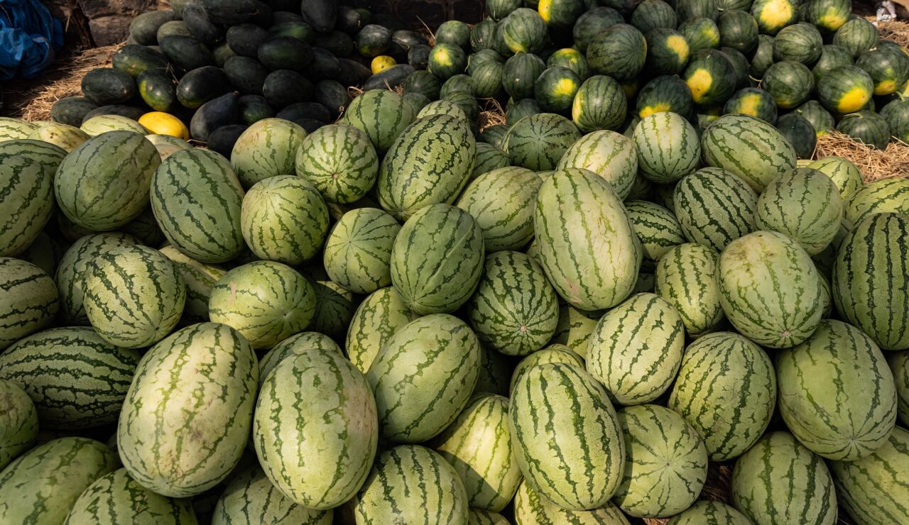 Imagen de melones 