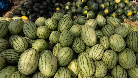 Imagen de melones Imagen de melones