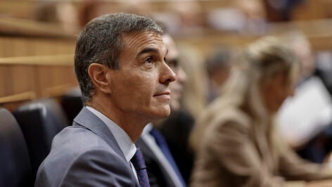 Pedro S&aacute;nchez en el Congreso de los Diputados