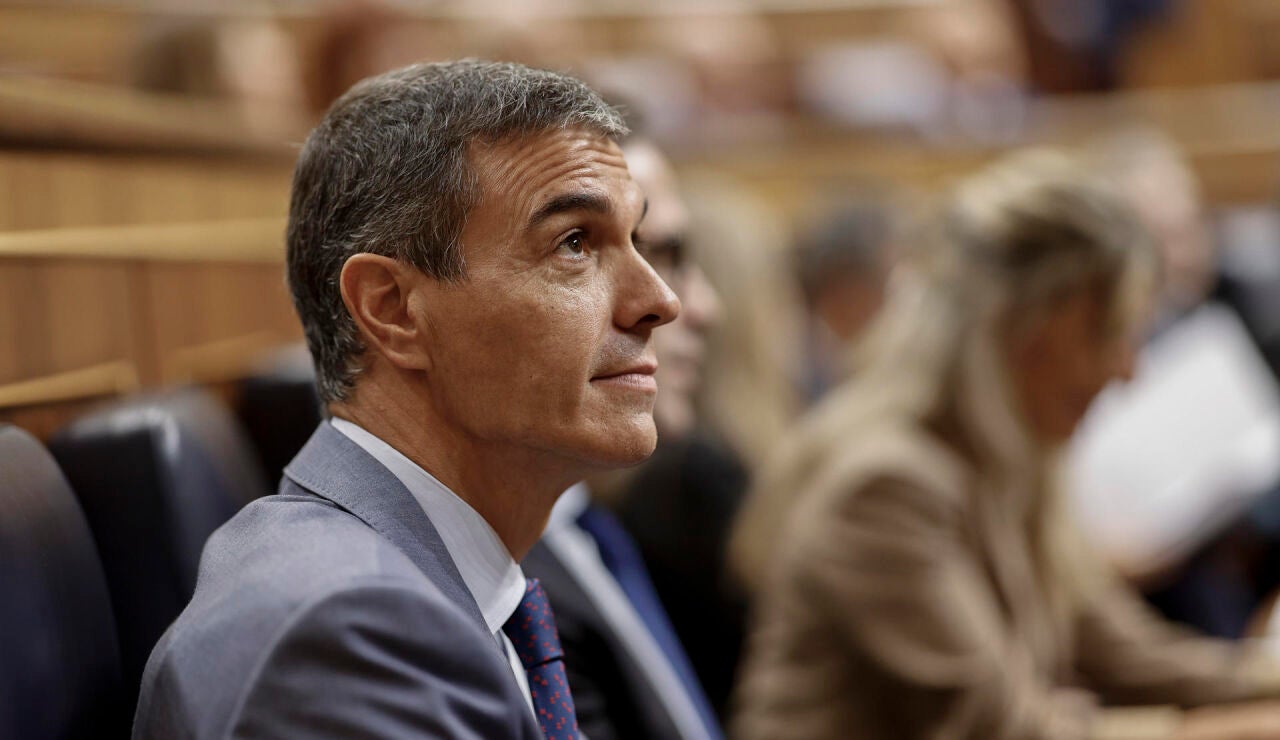 Pedro S&aacute;nchez en el Congreso de los Diputados