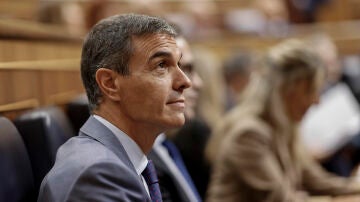 Pedro S&aacute;nchez en el Congreso de los Diputados