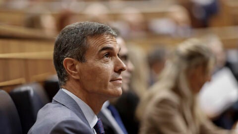 Pedro S&aacute;nchez en el Congreso de los Diputados
