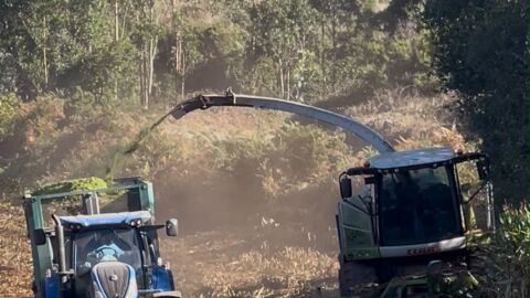 Imagen de un tractor.