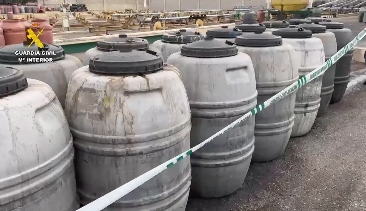 Detenido por estafar más de un millón y medio de euros a agricultores de aceituna en Sevilla y Huelva