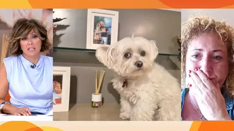 Le roba a su perrita Le roba a su perrita