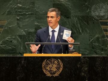 Pedro S&aacute;nchez en la Asamblea de la ONU
