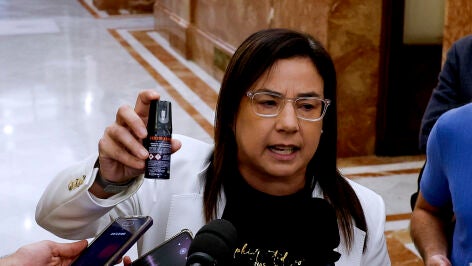 Imagen de la diputada Ana V&aacute;zquez 