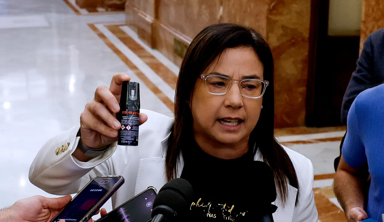 Imagen de la diputada Ana Vázquez