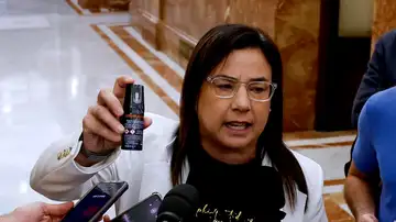 Imagen de la diputada Ana Vázquez Imagen de la diputada Ana Vázquez