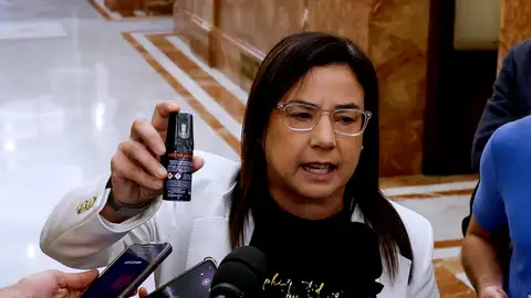 Imagen de la diputada Ana Vázquez Imagen de la diputada Ana Vázquez