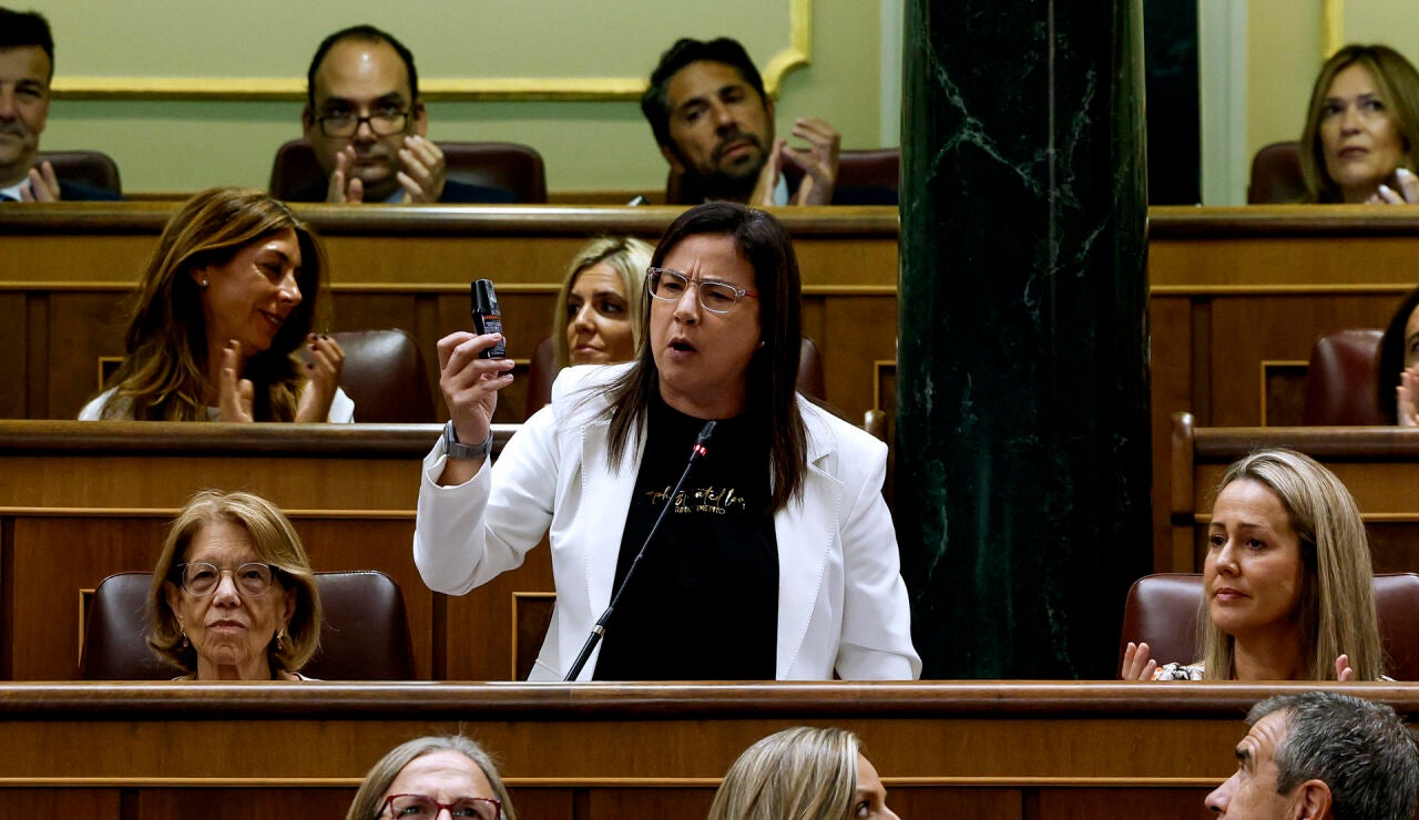 Imagen de Ana V&aacute;zquez 