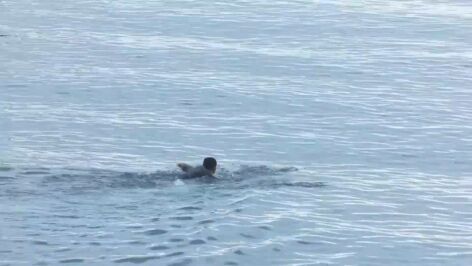 Imagen de la situaci&oacute;n en Ceuta