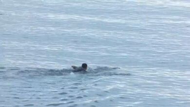 VÍDEO | Un migrante intenta escapar de los agentes nadando mientras se producía el desalojo en la playa de Benítez