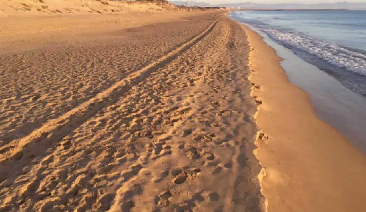 Playa dels Vivers