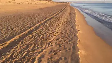 Playa dels Vivers Playa dels Vivers
