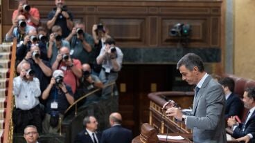 S&aacute;nchez en el Congreso de los Diputados