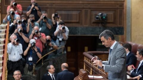 S&aacute;nchez en el Congreso de los Diputados