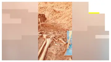 Imagen del hallazgo arqueológico en Sevilla Imagen del hallazgo arqueológico en Sevilla