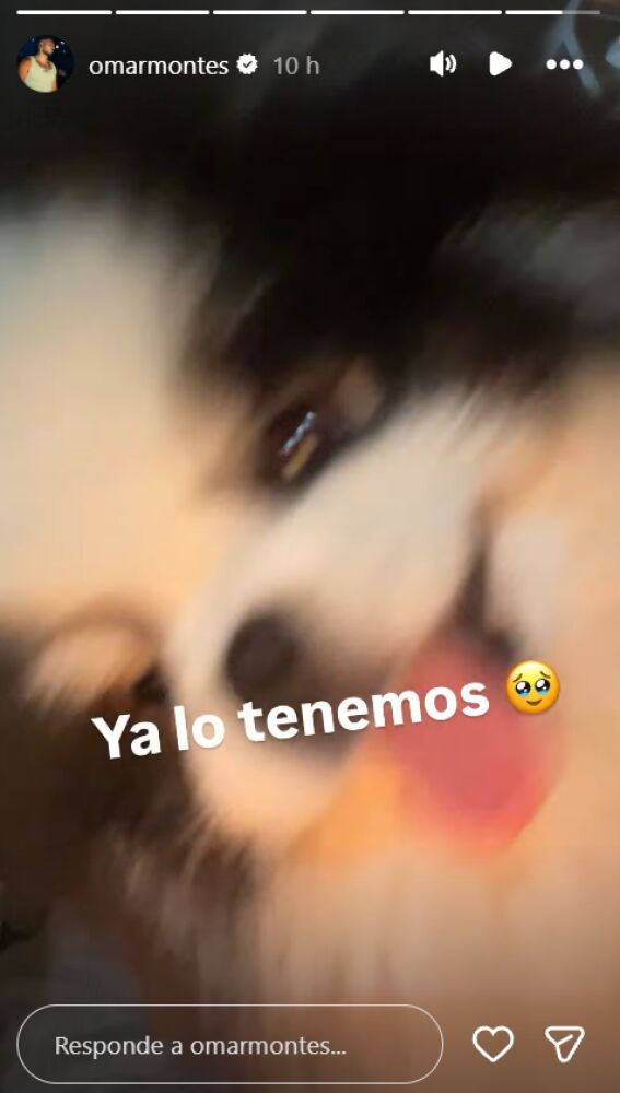 El perro de Omar Montes