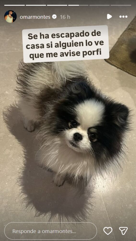 El perro de Omar Montes