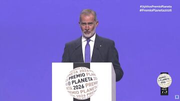 Rey Felipe VI