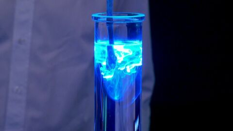 &iexcl;Hipn&oacute;tico! Marron sorprende a Paco Gonz&aacute;lez con la fluorescencia de la naturaleza