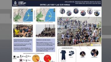 Informe CENIF