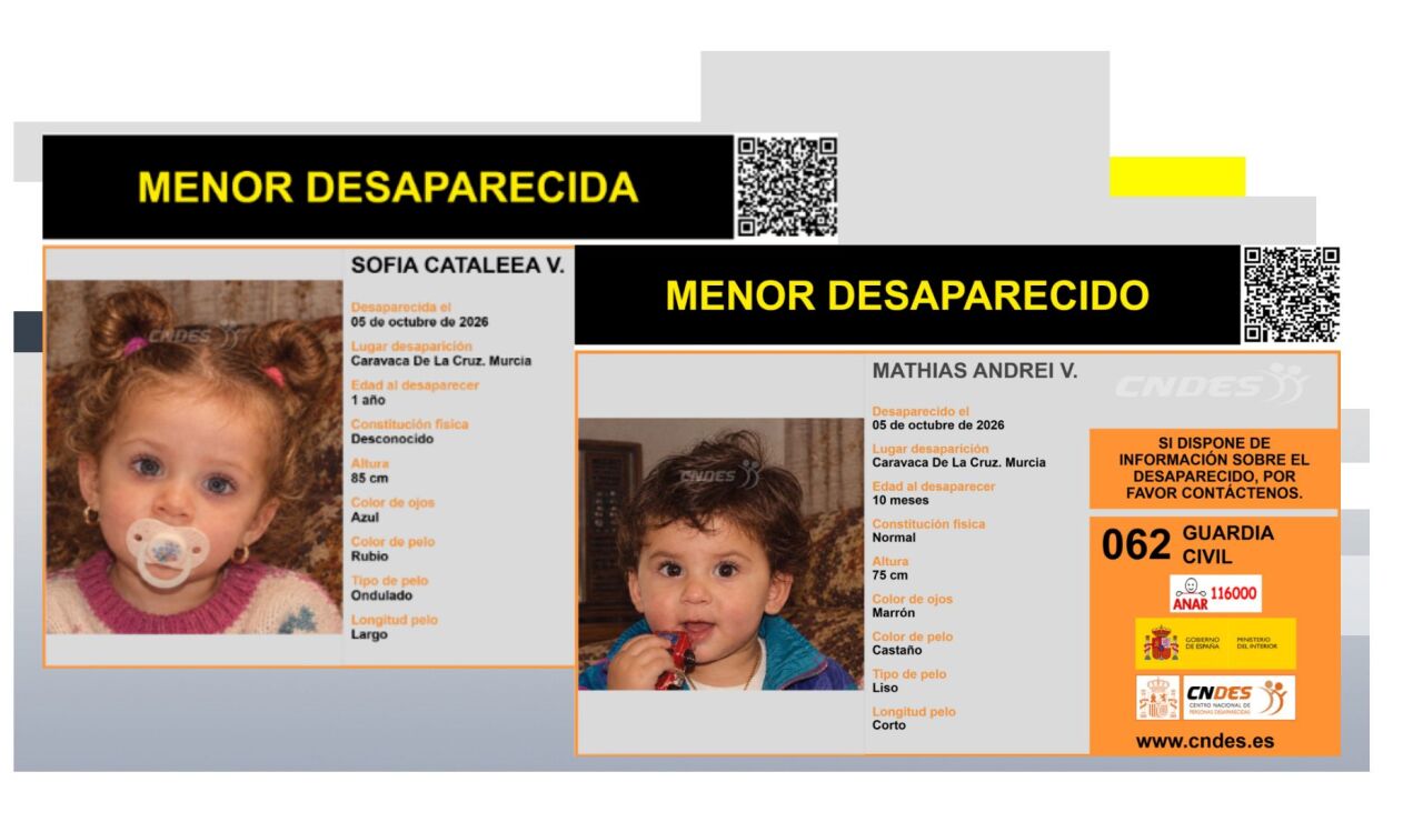 Buscan a dos hermanos de 11 meses y casi dos a&ntilde;os desaparecidos