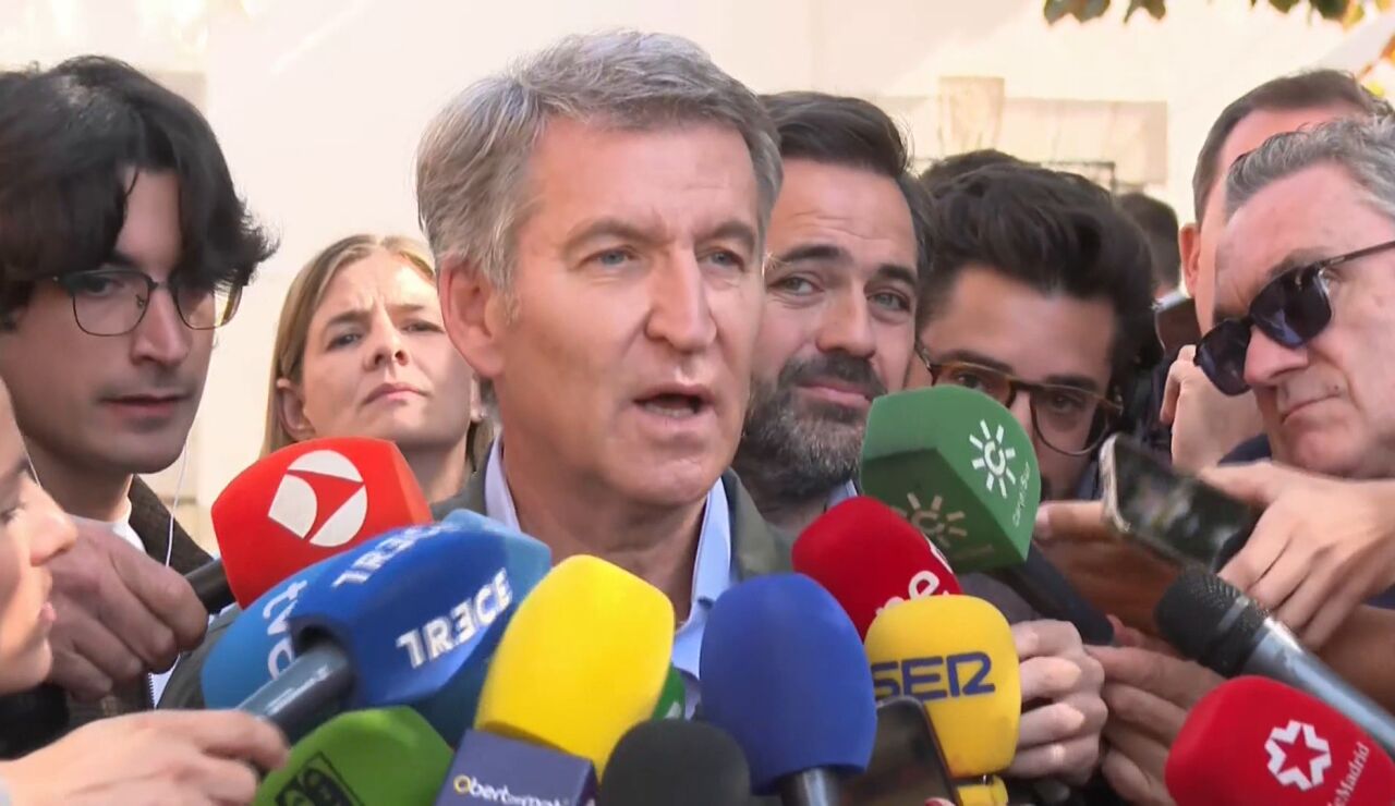 Imagen de feij&oacute;o 