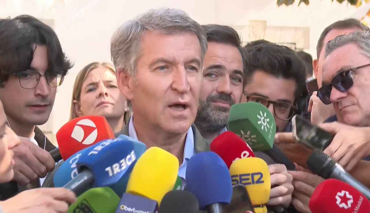 Imagen de feijóo