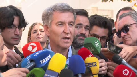 Imagen de feij&oacute;o 