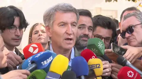 Imagen de feijóo Imagen de feijóo