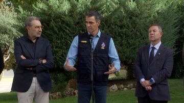 S&aacute;nchez en la comparecencia desde el CECOPI